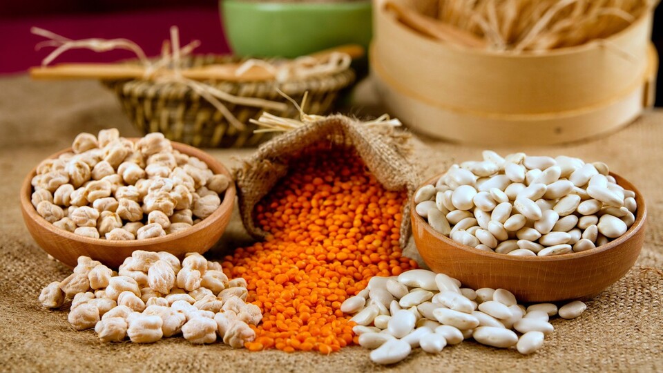 Bakliyatçılardan "havza modeli" çağrısı