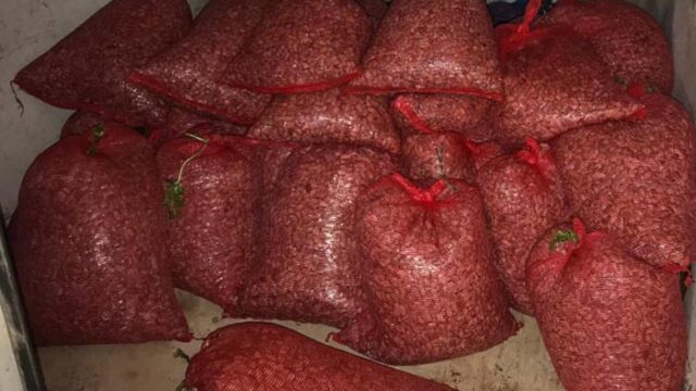 Bursa'da ele geçirildi! Tam 1 ton 300 kilogram...