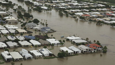 Avustralya'da sel felaketi! 300 bin sığır öldü!
