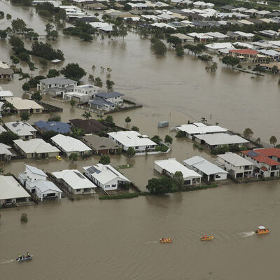 Avustralya'da sel felaketi! 300 bin sığır öldü!
