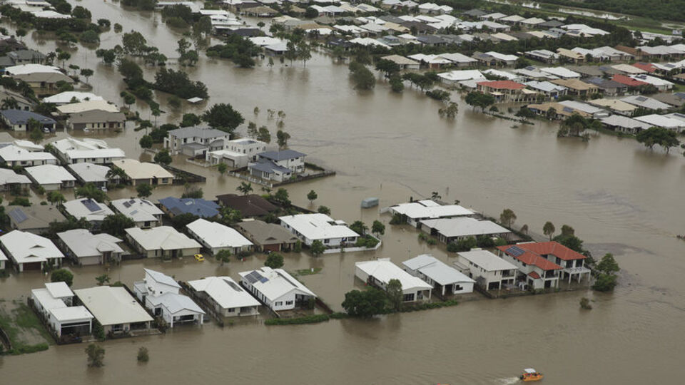 Avustralya'da sel felaketi! 300 bin sığır öldü!