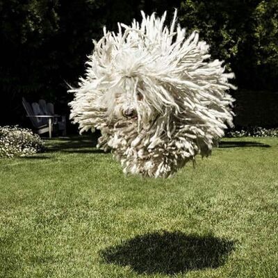 O olmasaydı, WhatsApp Facebook'un olmayacaktı!