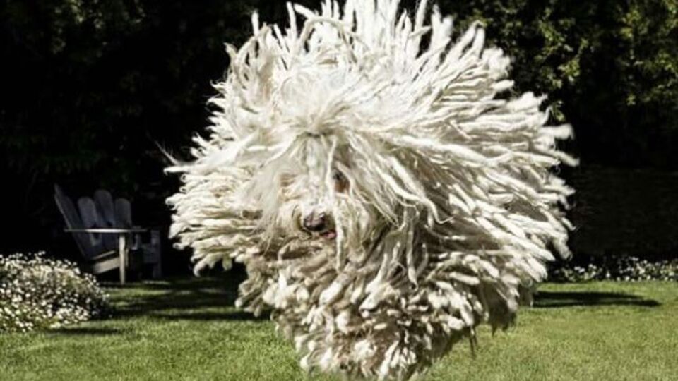 O olmasaydı, WhatsApp Facebook'un olmayacaktı!