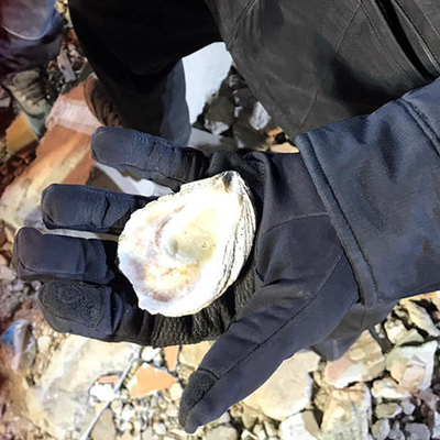 21 kişinin can verdiği o binanın temelinde deniz kabuğu kullanılmış!