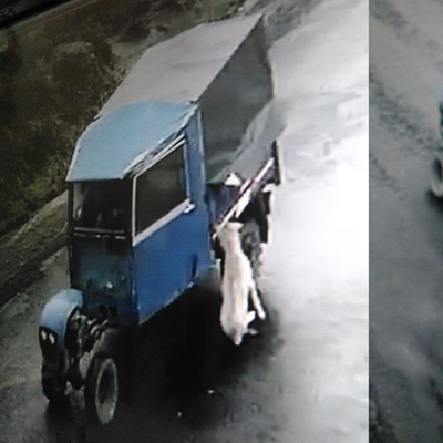 Bu nasıl insanlık! Sürükleyerek öldürdüler!