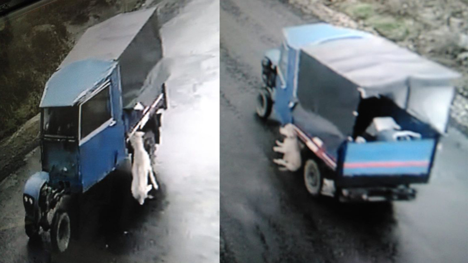 Bu nasıl insanlık! Sürükleyerek öldürdüler!