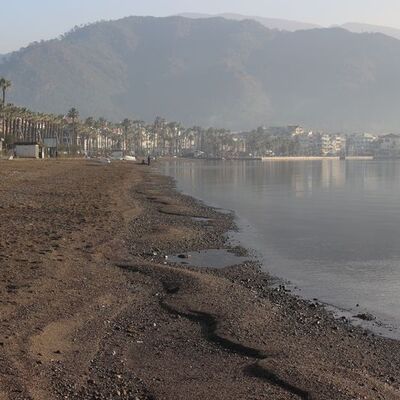 Marmaris'te korkutan görüntü!