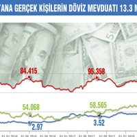 Döviz mevduatındaki gizem çözüldü
