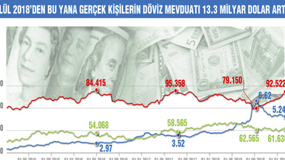 Döviz mevduatındaki gizem çözüldü