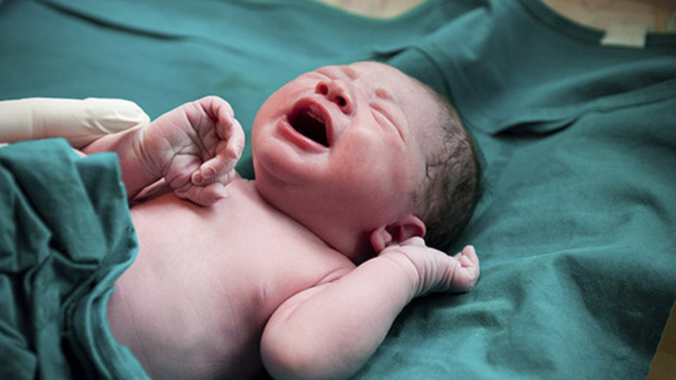 Iraklı kadın yediz doğurdu!