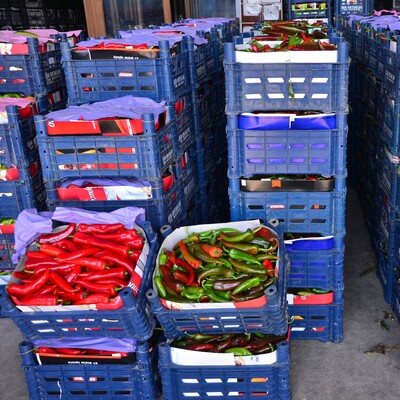 Böyle bir ticareti dünya daha keşfedemedi, edemeyecek de