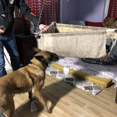 Dedektiflerin şaşırdığı an! Evin ortasına kurulu beşikten çıktı