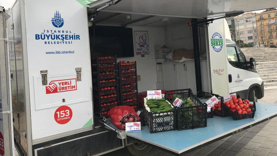 Ucuz domatese hücum!