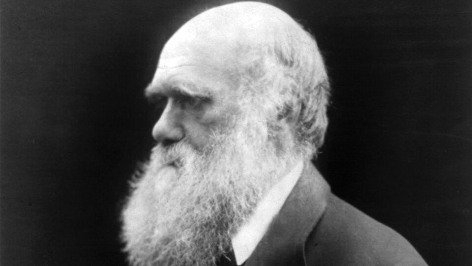 Charles Darwin: 210. doğum gününde evrim teorisini yaratan bilim adamının sıra dışı hayatı