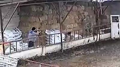 Isparta'da dehşete düşüren olay!