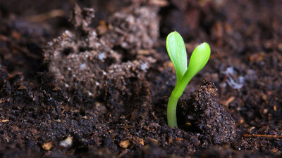 Tarımda "organik madde seferberliği" çağrısı