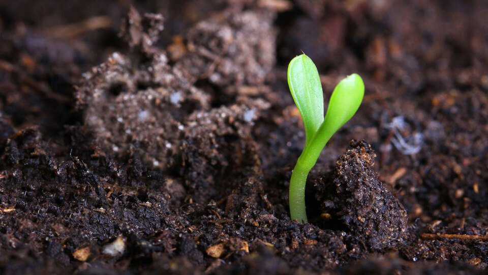 Tarımda "organik madde seferberliği" çağrısı