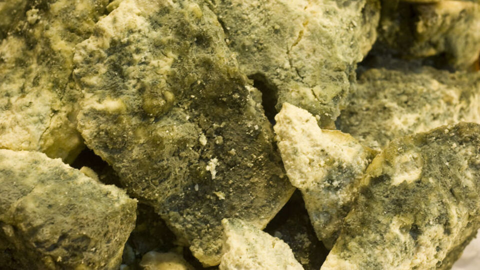 Küflü peynirdeki tehlike!