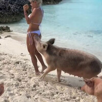 Modelin korku dolu anları! Bir anda ısırdı