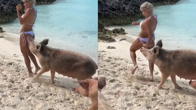 Modelin korku dolu anları! Bir anda ısırdı