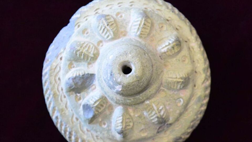 Harran'da bulundu! Birbirine dolanmış ağızları açık iki yılan...