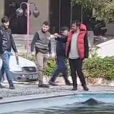 Gözlerine inanamadılar! Havuza düştü! Bayıltıp çıkardılar!