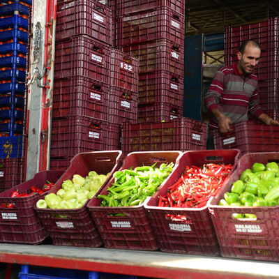 Hal yasası ne zaman çıkacak?