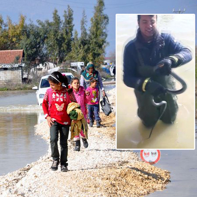 Amik Ovası 45 gündür su altında! Bölgeyi yılanlar bastı!