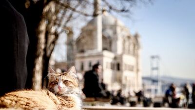 Kardan önce son güzel havalar!