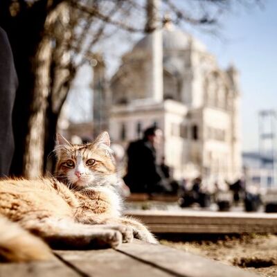 Kardan önce son güzel havalar!