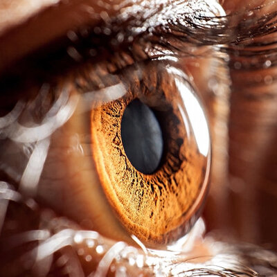 Sigara içenler renkleri işte böyle görüyor!