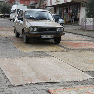 15 gün üzerinden araba geçiyor! Değeri iki kat artıyor