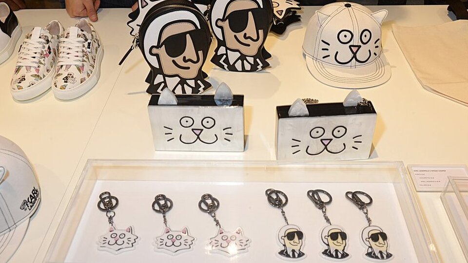 Lagerfeld'in 200 milyon dolarlık mirası 'kedisine kalabilir'