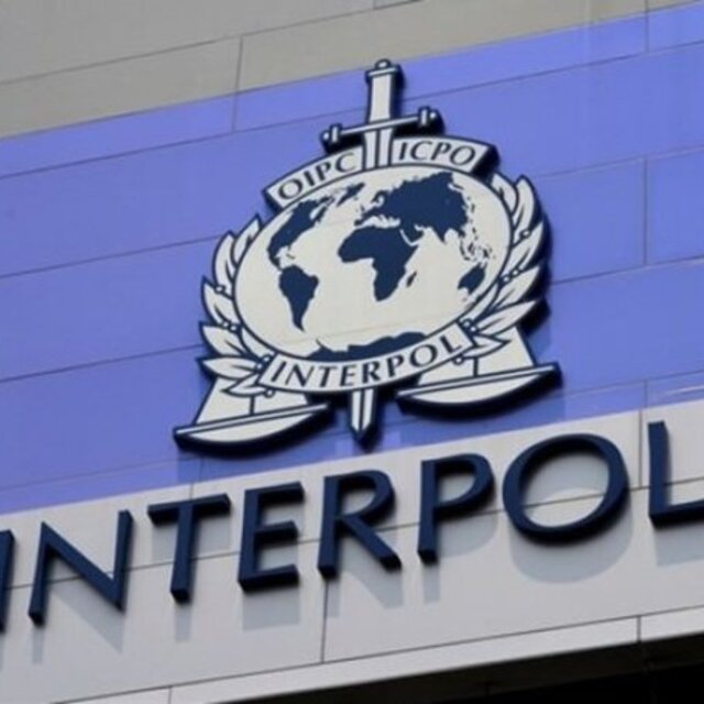 Interpol nedir?