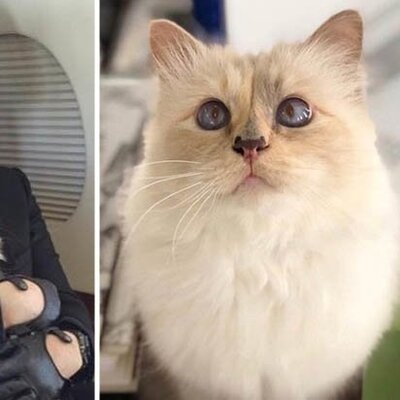 Onun için "Varisim" demişti! 200 milyon dolarlık miras!