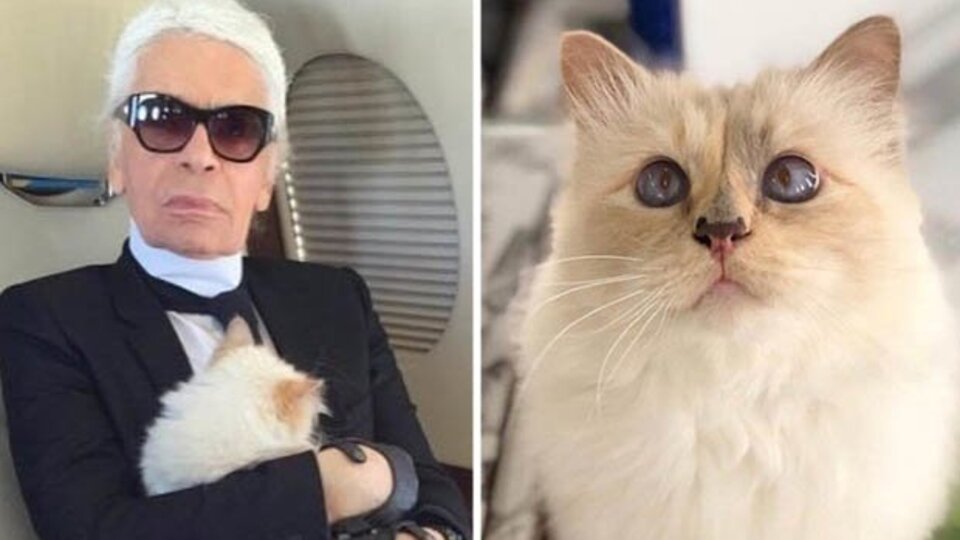 Onun için "Varisim" demişti! 200 milyon dolarlık miras!