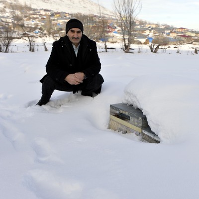 Dayanıklılığı test edildi! Ölmesinler diye kara gömüldü