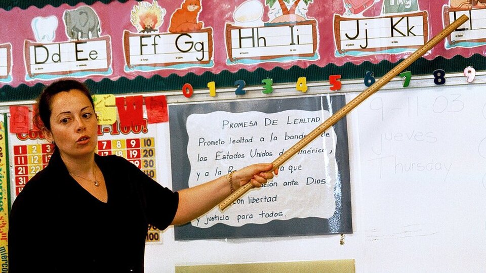 21 Şubat Dünya Anadil Günü: 'Her iki haftada bir dil yok oluyor'