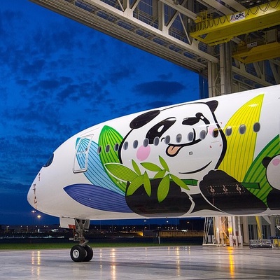 Çinli hava yolu şirketi Türkiye'ye geliyor!