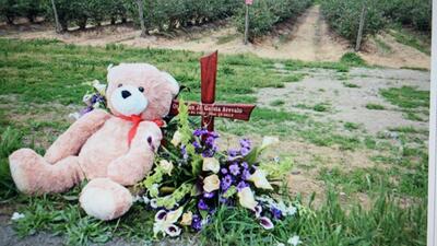 Zindaşti'nin tetikçisi öldürüldü