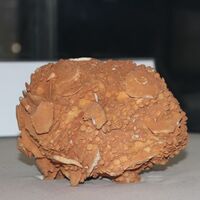 İlk bakışta ne olduğu anlaşılmıyor! "Dünyada bu boyutta bulma şansımız yok"