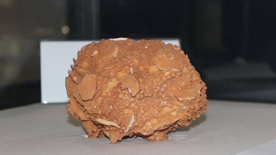 İlk bakışta ne olduğu anlaşılmıyor! "Dünyada bu boyutta bulma şansımız yok"