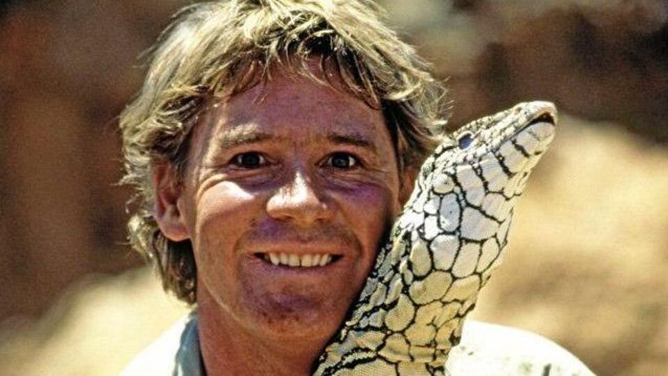 Steve Irwin kimdir?