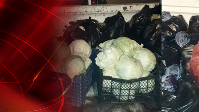 Hırsızlığın böylesi... Bursa'da bahçelerden 8 ton sebze çaldılar!