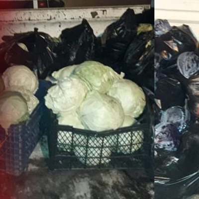 Hırsızlığın böylesi... Bursa'da bahçelerden 8 ton sebze çaldılar!