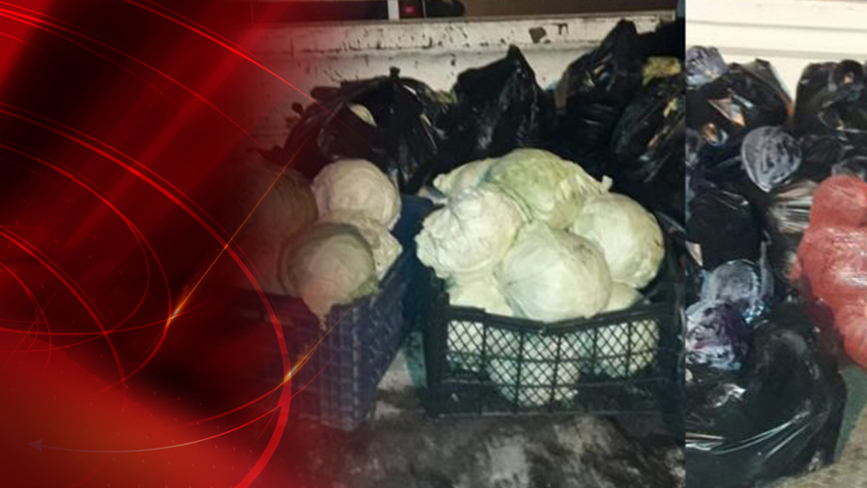 Hırsızlığın böylesi... Bursa'da bahçelerden 8 ton sebze çaldılar!