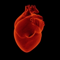 Kalpteki 'kaçak elektriği' yakarak kesiyorlar