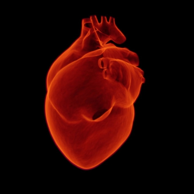 Kalpteki 'kaçak elektriği' yakarak kesiyorlar