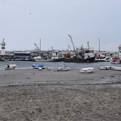 Deniz 30 metre çekilince Belediye Başkanı'ndan açıklama geldi