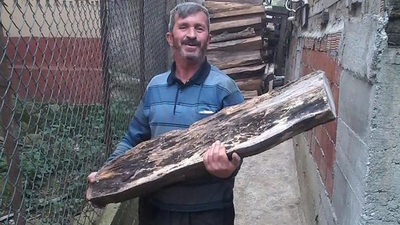 Kestiği ağacın altında kalarak öldü